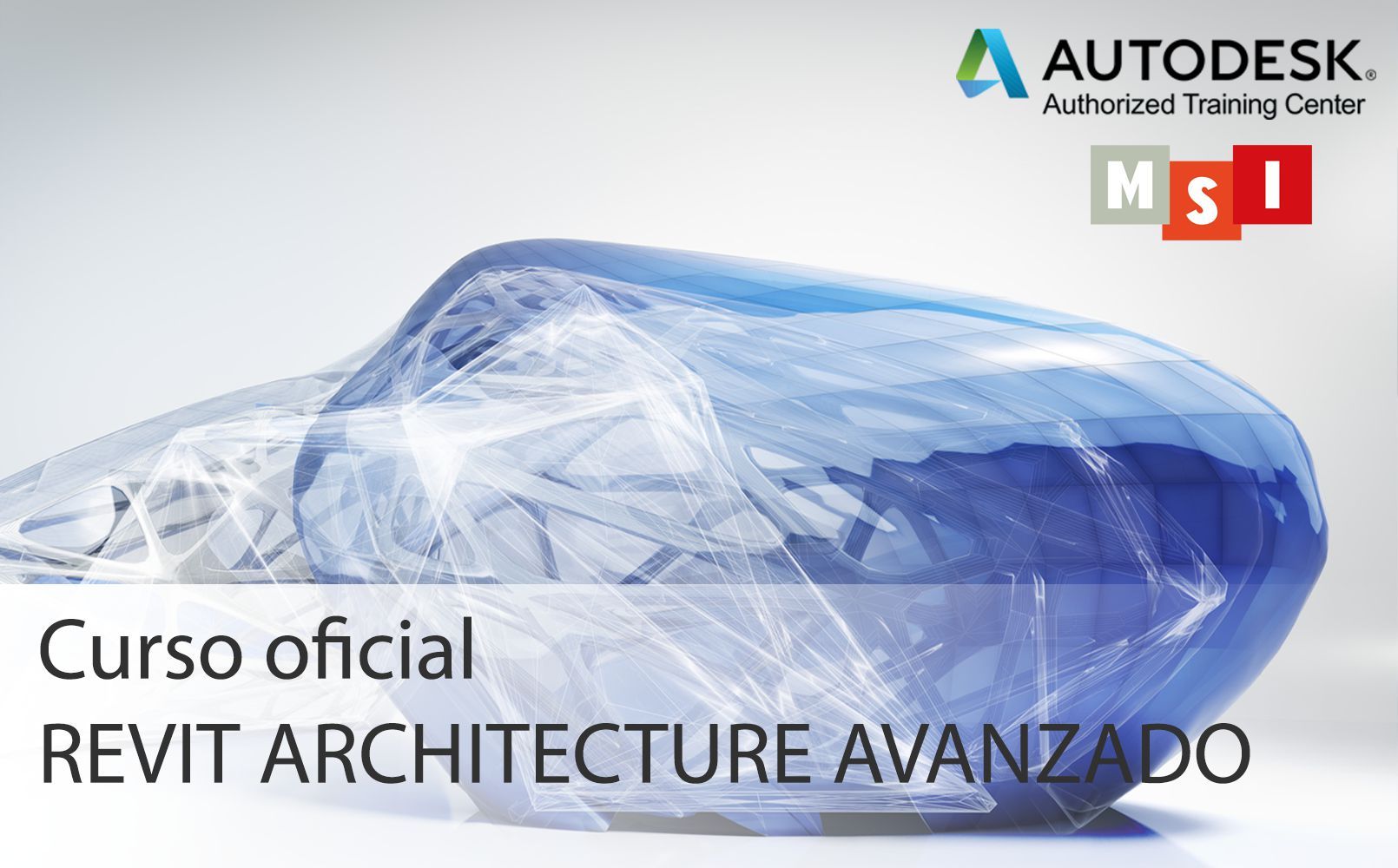 REVIT ARCHITECTURE AVANZADO